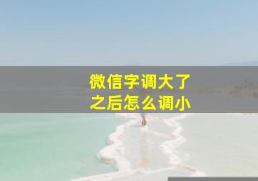 微信字调大了之后怎么调小