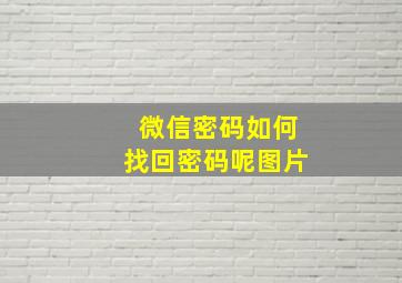 微信密码如何找回密码呢图片