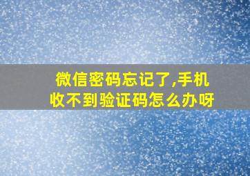 微信密码忘记了,手机收不到验证码怎么办呀