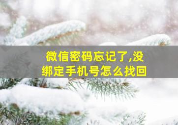 微信密码忘记了,没绑定手机号怎么找回