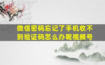 微信密码忘记了手机收不到验证码怎么办呢视频号