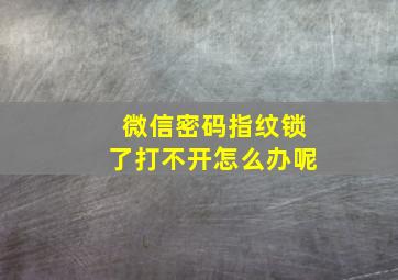 微信密码指纹锁了打不开怎么办呢