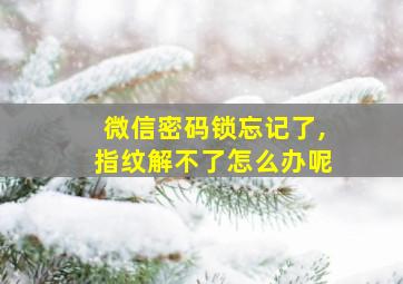 微信密码锁忘记了,指纹解不了怎么办呢