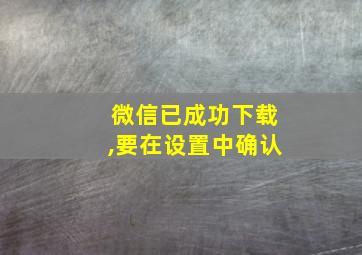 微信已成功下载,要在设置中确认