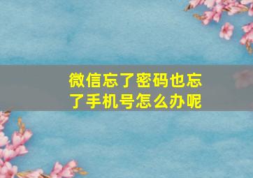 微信忘了密码也忘了手机号怎么办呢