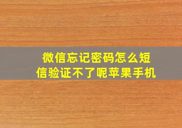 微信忘记密码怎么短信验证不了呢苹果手机