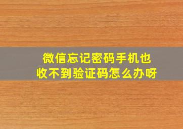 微信忘记密码手机也收不到验证码怎么办呀