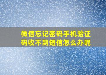 微信忘记密码手机验证码收不到短信怎么办呢