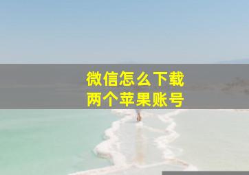 微信怎么下载两个苹果账号