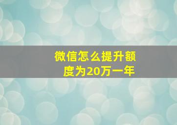 微信怎么提升额度为20万一年