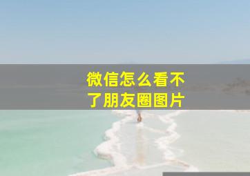 微信怎么看不了朋友圈图片