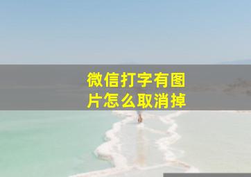 微信打字有图片怎么取消掉