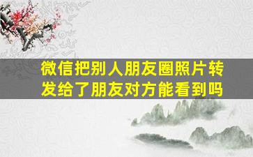 微信把别人朋友圈照片转发给了朋友对方能看到吗