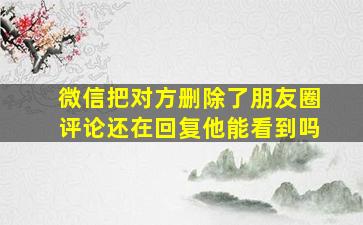 微信把对方删除了朋友圈评论还在回复他能看到吗