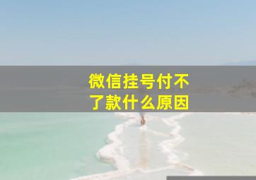 微信挂号付不了款什么原因