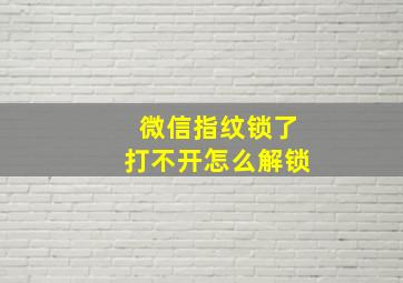 微信指纹锁了打不开怎么解锁