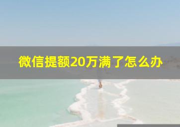 微信提额20万满了怎么办