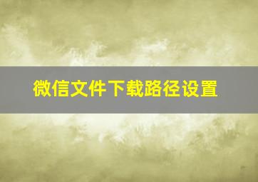 微信文件下载路径设置