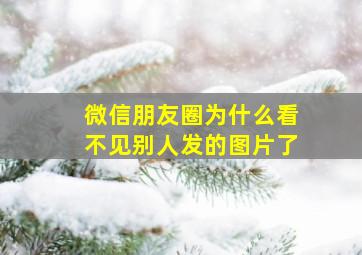 微信朋友圈为什么看不见别人发的图片了