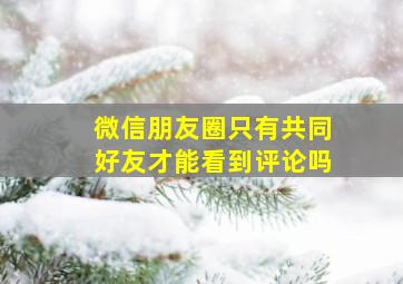 微信朋友圈只有共同好友才能看到评论吗