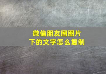 微信朋友圈图片下的文字怎么复制