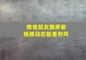 微信朋友圈屏蔽视频动态能看到吗