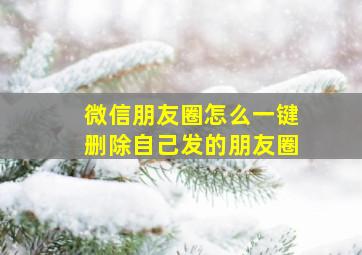 微信朋友圈怎么一键删除自己发的朋友圈