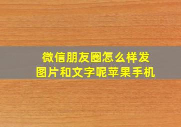 微信朋友圈怎么样发图片和文字呢苹果手机