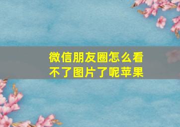 微信朋友圈怎么看不了图片了呢苹果