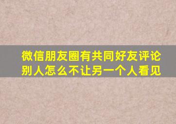 微信朋友圈有共同好友评论别人怎么不让另一个人看见