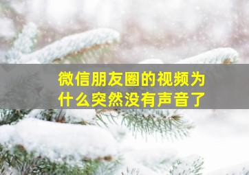 微信朋友圈的视频为什么突然没有声音了