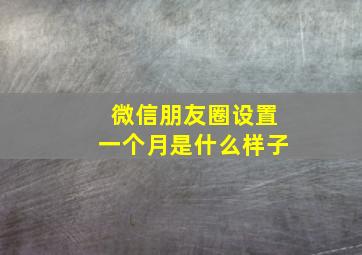 微信朋友圈设置一个月是什么样子