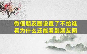 微信朋友圈设置了不给谁看为什么还能看到朋友圈