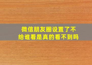 微信朋友圈设置了不给谁看是真的看不到吗