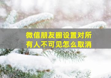 微信朋友圈设置对所有人不可见怎么取消