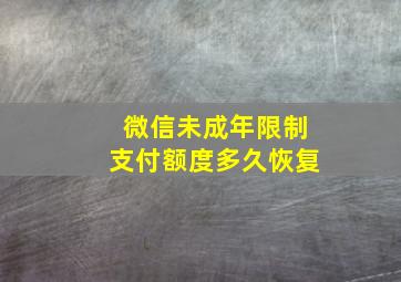 微信未成年限制支付额度多久恢复