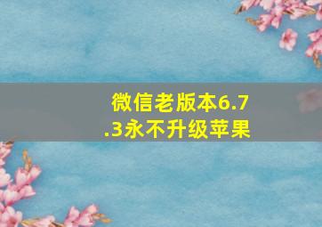 微信老版本6.7.3永不升级苹果