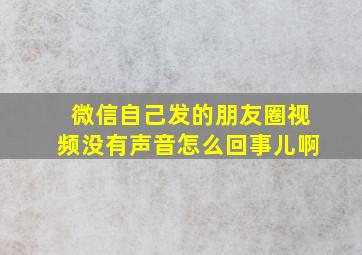 微信自己发的朋友圈视频没有声音怎么回事儿啊