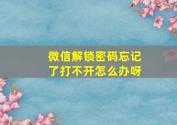 微信解锁密码忘记了打不开怎么办呀