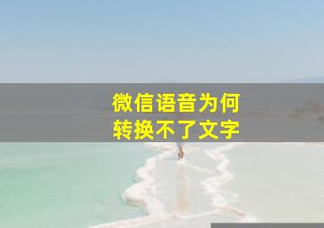 微信语音为何转换不了文字