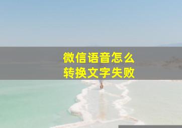 微信语音怎么转换文字失败