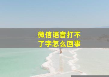 微信语音打不了字怎么回事