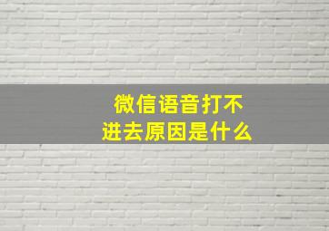 微信语音打不进去原因是什么