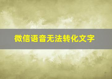 微信语音无法转化文字