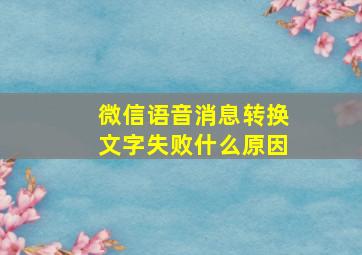 微信语音消息转换文字失败什么原因