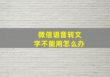 微信语音转文字不能用怎么办