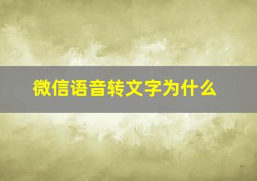 微信语音转文字为什么