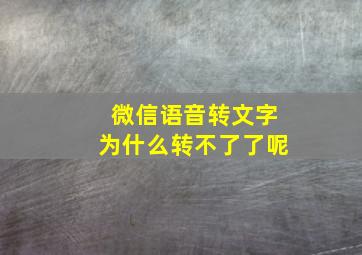 微信语音转文字为什么转不了了呢