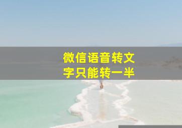 微信语音转文字只能转一半