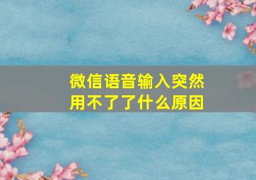 微信语音输入突然用不了了什么原因